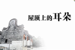 屋顶上的耳朵